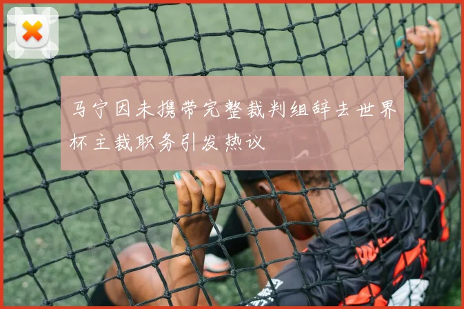 马宁因未携带完整裁判组辞去世界杯主裁职务引发热议